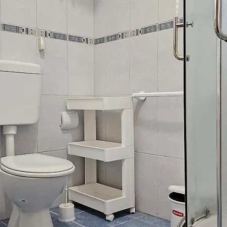 Apartment Adriatic Retreat: Pazanin *